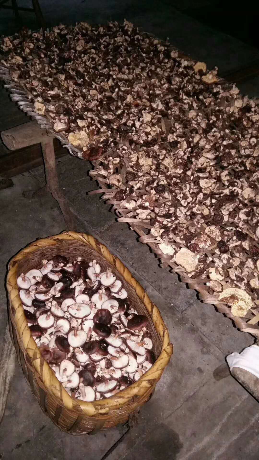 深山野生香菇--中国中铁网上商城